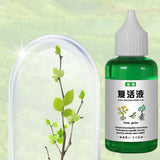 Maxbell Plant and Flower Resurrection Liquid Multipurpose for Home Fruit Trees Shrub