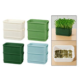 Maxbell Seed Sprouter Plate Sturdy Cat Grass Growing Tray for Greenhouse Microgreens White