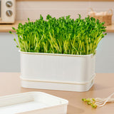 Maxbell Seed Sprouter Plate Sturdy Cat Grass Growing Tray for Greenhouse Microgreens White