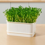 Maxbell Seed Sprouter Plate Sturdy Cat Grass Growing Tray for Greenhouse Microgreens White