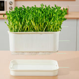 Maxbell Seed Sprouter Plate Sturdy Cat Grass Growing Tray for Greenhouse Microgreens White