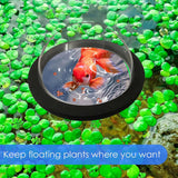 Maxbell Dome Shape Aquarium Floating Plant Corral Fish Tank Pool Floating Plant Ring