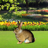 Maxbell Maxbell Garden Stake Acrylic Sculpture Novelty Yard Art Decor for Patio Outdoor Lawn A