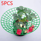 Maxbell 5x Strawberry Supports Keep Berries Clean Strawberry Growing Racks Protector