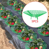 Maxbell 5x Strawberry Supports Keep Berries Clean Strawberry Growing Racks Protector