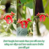 Maxbell 40 Pieces Plant Bender 90 Degrees Plant Trainer for Plant Gardening Outdoors