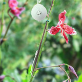Maxbell Yoyo Plant Support Hanger Hook Retractable Grow Hanger for Ivy Indoor Garden White