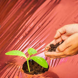 Maxbell Garden Film Enhances Plant Growth Accessories for Tomato Eggplant Strawberry