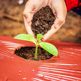 Maxbell Garden Film Enhances Plant Growth Accessories for Tomato Eggplant Strawberry