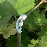 Maxbell 10Pcs Plant Bender Compact Low Stress Training Clips for Gardens Greenhouses