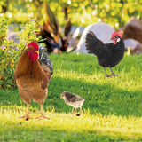 Maxbell 3x Chicken Statue Stakes Lifelike Chicken Statue for Home Backyard Farmhouse
