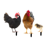 Maxbell 3x Chicken Statue Stakes Lifelike Chicken Statue for Home Backyard Farmhouse
