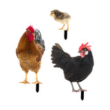Maxbell 3x Chicken Statue Stakes Lifelike Chicken Statue for Home Backyard Farmhouse