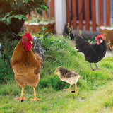 Maxbell 3x Chicken Statue Stakes Lifelike Chicken Statue for Home Backyard Farmhouse