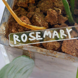 Maxbell 50x Outdoor Plant Labels Acrylic Reusable for Potted Plants Greenhouse Farms