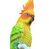 Maxbell Parrot Figurine Bird Statue Tree Ornament for Farmhouse Decor 3.9x5.1x15inch Left Side