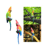 Maxbell Parrot Figurine Bird Statue Tree Ornament for Farmhouse Decor 3.9x5.1x15inch Left Side