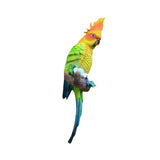 Maxbell Parrot Figurine Bird Statue Tree Ornament for Farmhouse Decor 3.9x5.1x15inch Left Side