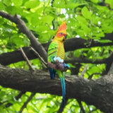 Maxbell Parrot Figurine Bird Statue Tree Ornament for Farmhouse Decor 3.9x5.1x15inch Left Side