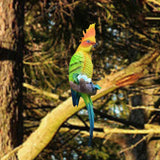 Maxbell Parrot Figurine Bird Statue Tree Ornament for Farmhouse Decor 3.9x5.1x15inch Left Side