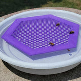 Maxbell Floating Bee Island Waterer Unique Bee Water Feeder for Outdoor Garden Decor violet small