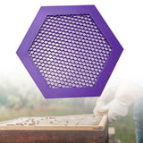 Maxbell Floating Bee Island Waterer Unique Bee Water Feeder for Outdoor Garden Decor violet small