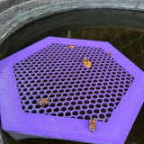 Maxbell Floating Bee Island Waterer Unique Bee Water Feeder for Outdoor Garden Decor violet small