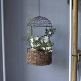 Maxbell 7.87 inch Hanging Planter Basket Round Wire Hanging Flower Pot for Home Yard
