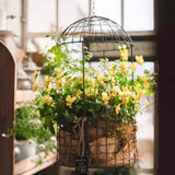 Maxbell 7.87 inch Hanging Planter Basket Round Wire Hanging Flower Pot for Home Yard