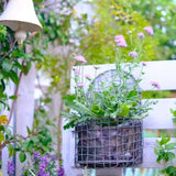 Maxbell Wall Hanging Basket Wall Planters for Indoor Plants for Bedroom Home Balcony S