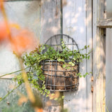 Maxbell Wall Hanging Basket Wall Planters for Indoor Plants for Bedroom Home Balcony S