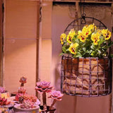 Maxbell Wall Hanging Basket Wall Planters for Indoor Plants for Bedroom Home Balcony L