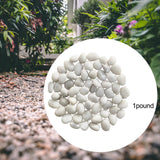 Maxbell Pebbles Multifunctional Polished River Stones for Outdoor Indoor Landscaping White 3 to 5 cm