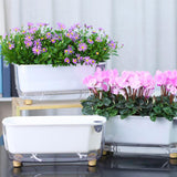 Maxbell Self Watering Flower Planter Clear Plant Pot for Outdoor Indoor Desk Balcony