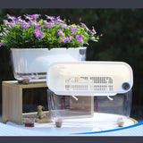 Maxbell Self Watering Flower Planter Clear Plant Pot for Outdoor Indoor Desk Balcony