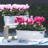 Maxbell Self Watering Flower Planter Clear Plant Pot for Outdoor Indoor Desk Balcony