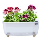 Maxbell Self Watering Flower Planter Clear Plant Pot for Outdoor Indoor Desk Balcony