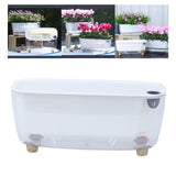Maxbell Self Watering Flower Planter Clear Plant Pot for Outdoor Indoor Desk Balcony