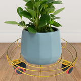 Maxbell Plant Dolly with Casters Plant Dolly for Garden Patio Planter Indoor Outdoor Gold