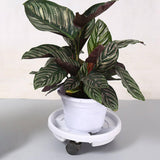 Maxbell Plant Saucer Rolling Plant Stand Base with Wheels for Patio Garden Accessory Outer Dia 40cm