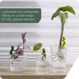 Maxbell Plant Support Creative Garden Decoration Sturdy Plant Accessories for Stems Dark Green