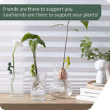 Maxbell Plant Support Creative Garden Decoration Sturdy Plant Accessories for Stems Dark Green