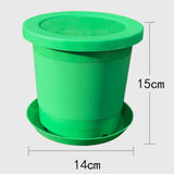 Maxbell Seed Sprouter Tray Versatile Hydroponic Peanut Sprout Box for Pea Wheatgrass S