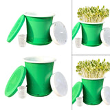 Maxbell Seed Sprouter Tray Versatile Hydroponic Peanut Sprout Box for Pea Wheatgrass S