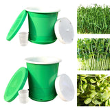 Maxbell Seed Sprouter Tray Versatile Hydroponic Peanut Sprout Box for Pea Wheatgrass S