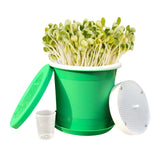 Maxbell Seed Sprouter Tray Versatile Hydroponic Peanut Sprout Box for Pea Wheatgrass S