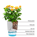 Maxbell Self Watering Flower Pot Lightweight Versatile with Holes for Indoor Outdoor Black