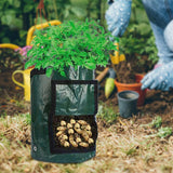 Maxbell Garden Planting Bag with Reinforced Handle Potato Grow Bag for Flowers Onion 10 gallon 35x50cm