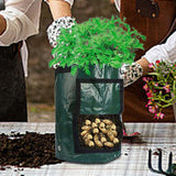 Maxbell Garden Planting Bag with Reinforced Handle Potato Grow Bag for Flowers Onion 10 gallon 35x50cm