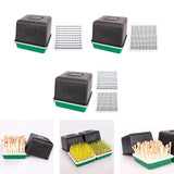 Maxbell Sprout Tray with Lid Multifunctional PP Planting Pot for Kitchen Home Indoor Peanut plate